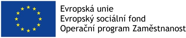 logo evropský sociální fond
